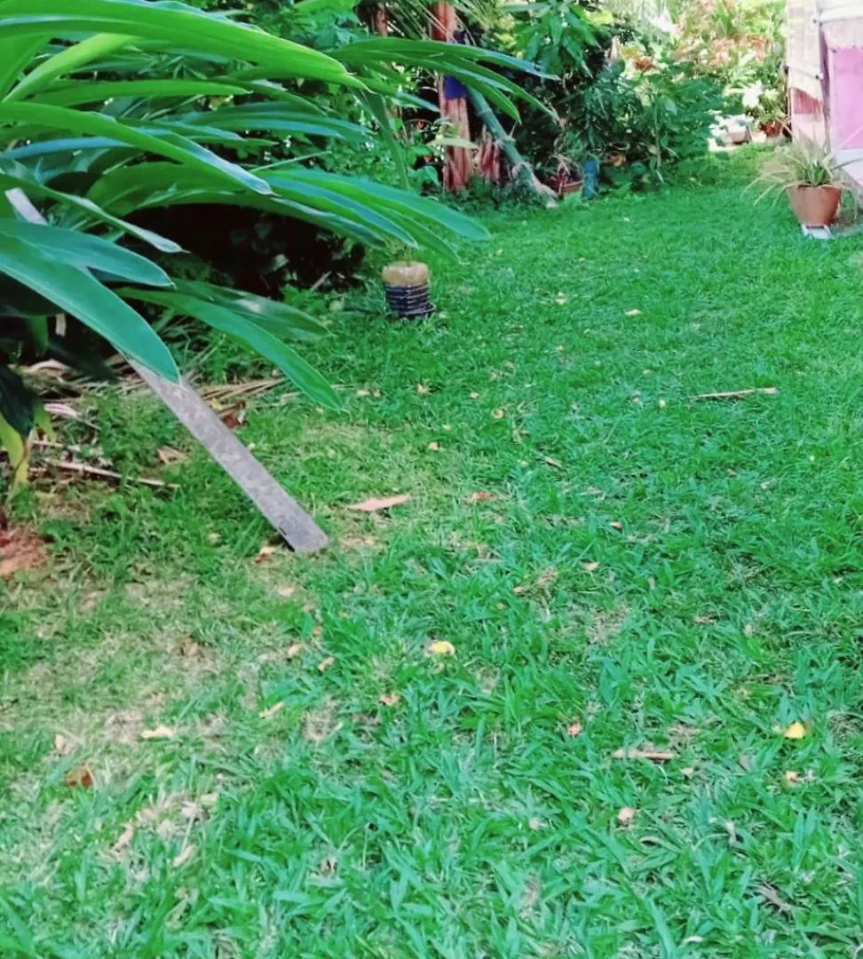 Holiday home Ecrin De Jasmin Villa La Trinite Martinique